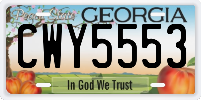 GA license plate CWY5553