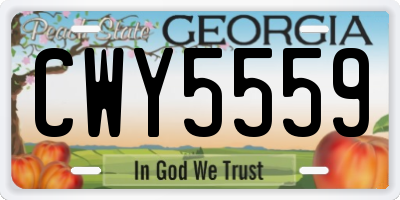 GA license plate CWY5559