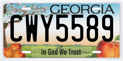 GA license plate CWY5589