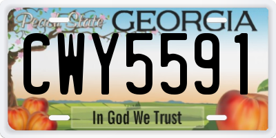 GA license plate CWY5591