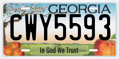 GA license plate CWY5593