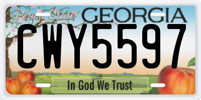GA license plate CWY5597