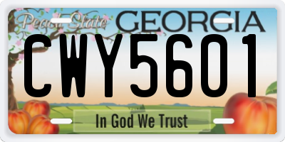 GA license plate CWY5601