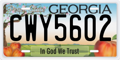 GA license plate CWY5602