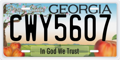 GA license plate CWY5607
