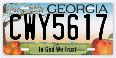 GA license plate CWY5617