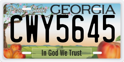 GA license plate CWY5645