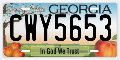 GA license plate CWY5653