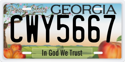 GA license plate CWY5667