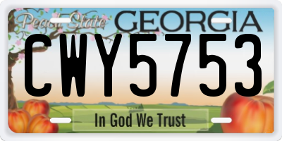 GA license plate CWY5753
