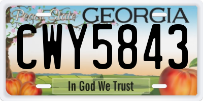 GA license plate CWY5843