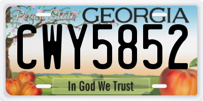 GA license plate CWY5852
