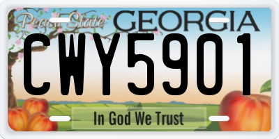 GA license plate CWY5901