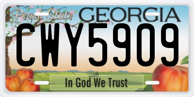GA license plate CWY5909