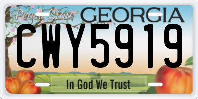 GA license plate CWY5919