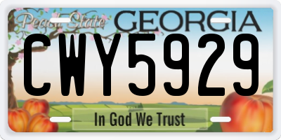 GA license plate CWY5929