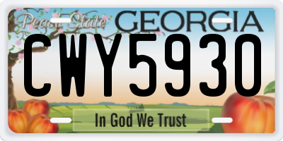 GA license plate CWY5930