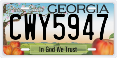 GA license plate CWY5947