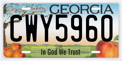 GA license plate CWY5960