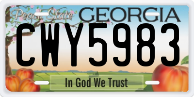 GA license plate CWY5983