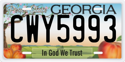 GA license plate CWY5993