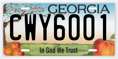 GA license plate CWY6001