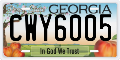 GA license plate CWY6005