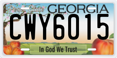 GA license plate CWY6015