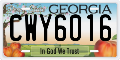 GA license plate CWY6016