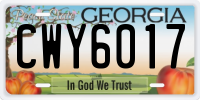 GA license plate CWY6017