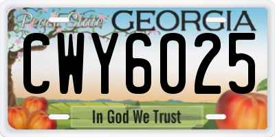 GA license plate CWY6025
