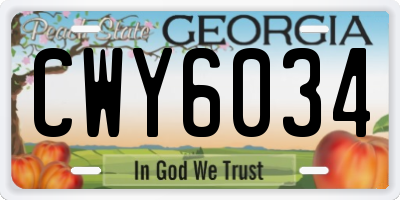 GA license plate CWY6034