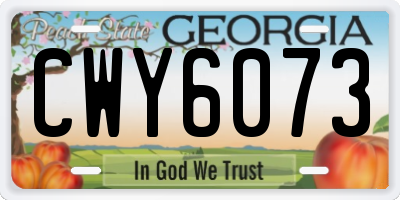 GA license plate CWY6073