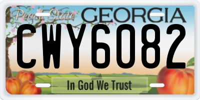 GA license plate CWY6082