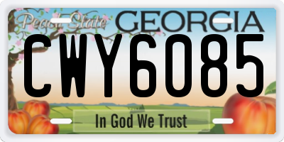 GA license plate CWY6085