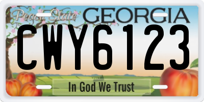 GA license plate CWY6123