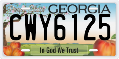 GA license plate CWY6125
