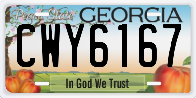 GA license plate CWY6167