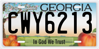 GA license plate CWY6213