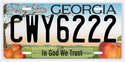 GA license plate CWY6222