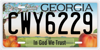 GA license plate CWY6229