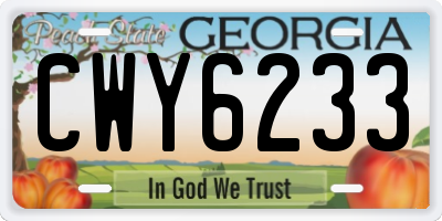 GA license plate CWY6233