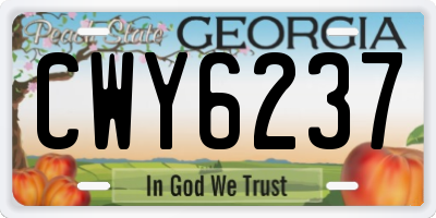 GA license plate CWY6237