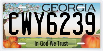 GA license plate CWY6239