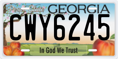 GA license plate CWY6245