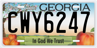 GA license plate CWY6247