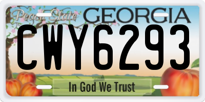 GA license plate CWY6293