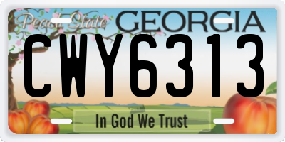 GA license plate CWY6313