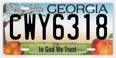 GA license plate CWY6318