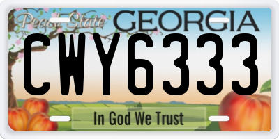GA license plate CWY6333